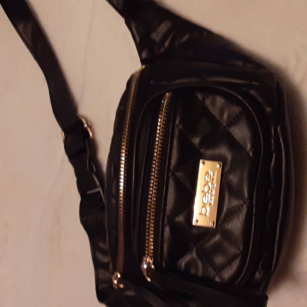 Fannie pack